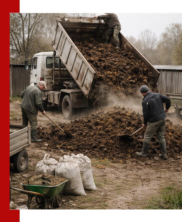 Доставка коровьего навоза самосвалом в Конаково
